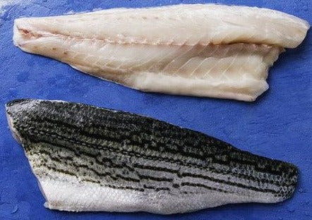 Curing Striped Bass Fillets